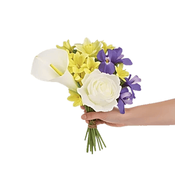 Elegant Calla Lilies