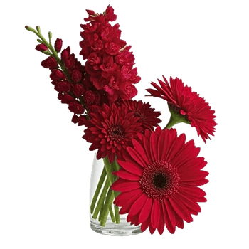 Crimson Blossom Harmony