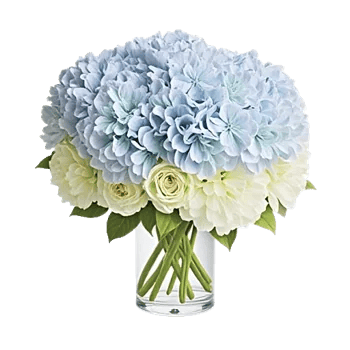 Blooming Serenity Display