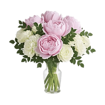 Petal Radiance Bliss