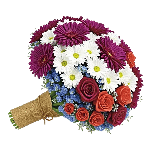 Plum Blossom Radiance