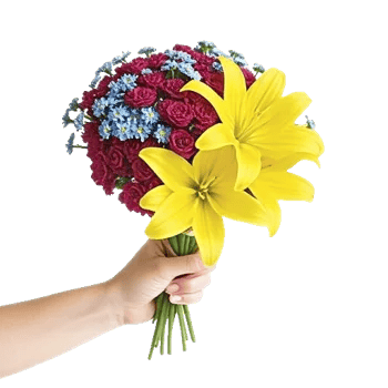 Graceful Lily Display