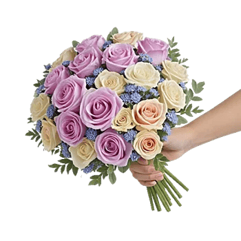 Pastel Pink Roses