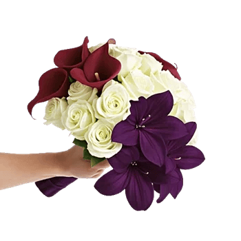 Elegant Calla Lilies