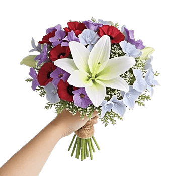 Dewy Morning Blossoms