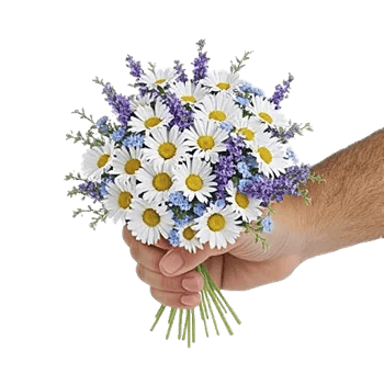 Daisy Meadow Spread