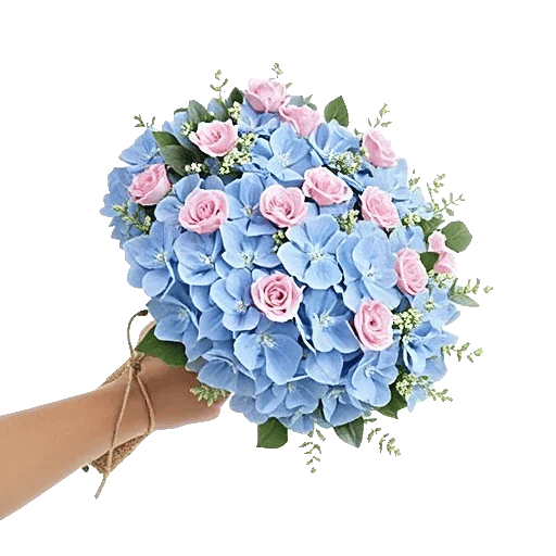 Serene Petal Harmony