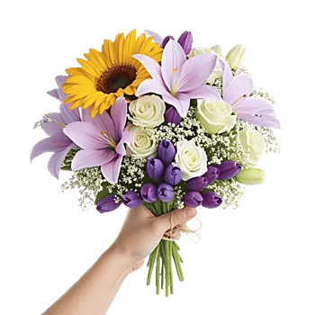 Twinkling Sunflower Dance