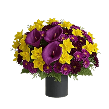 Elegant Calla Lilies