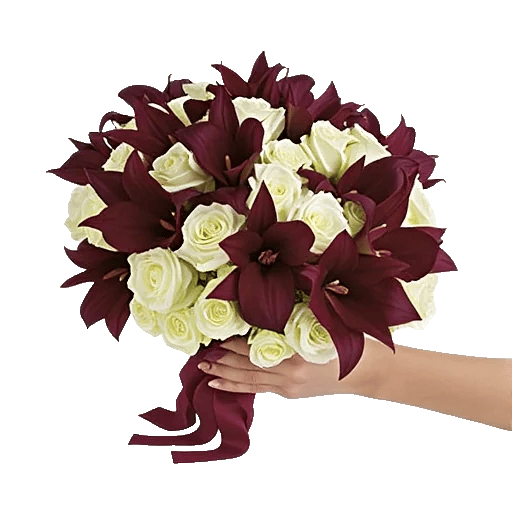 Elegant Calla Lilies