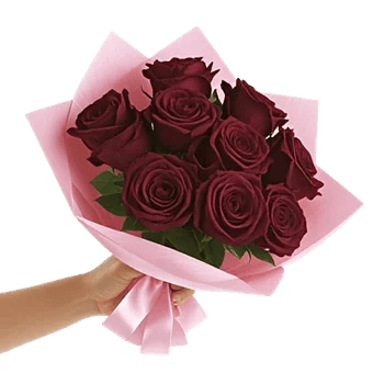 Crimson Rose Elegance