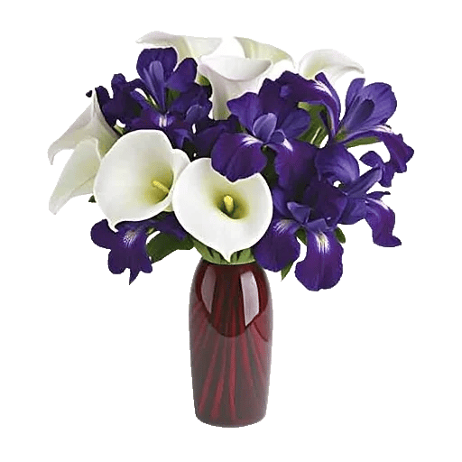 Elegant Calla Lilies