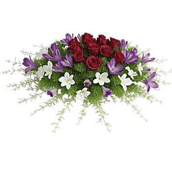 Delicate Petal Cascade