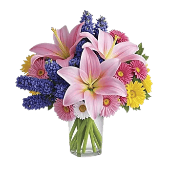 Graceful Lily Display