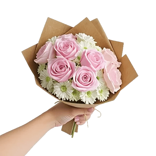 Pastel Pink Roses