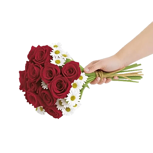 Crimson Rose Elegance