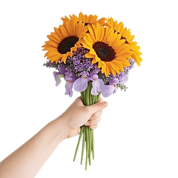 Amber Sunflower Glow