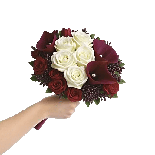 Elegant Calla Lilies