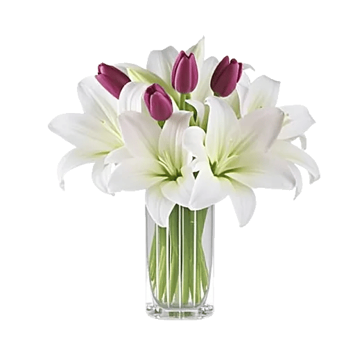 Velvet Tulip Display