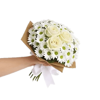 Delicate Petal Cascade