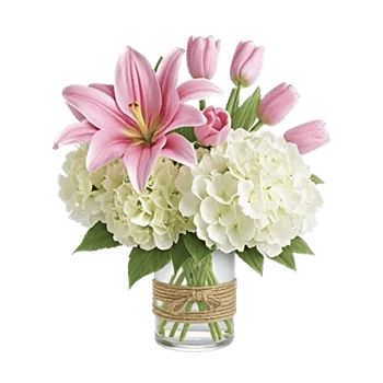 Graceful Lily Display