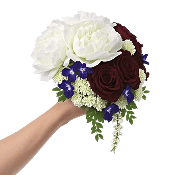 Delicate Petal Cascade