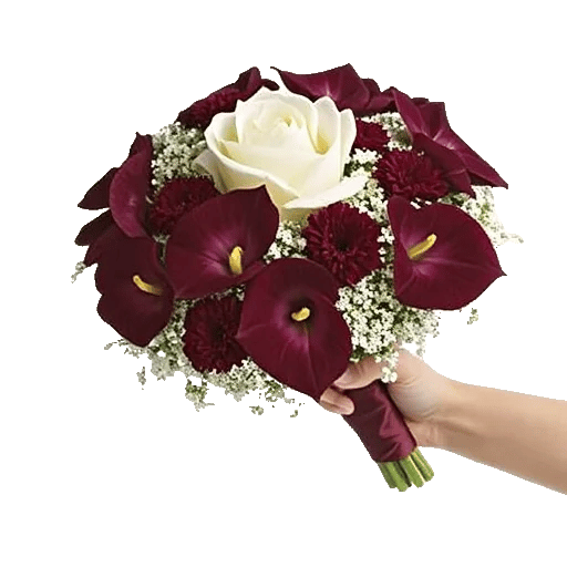 Elegant Calla Lilies