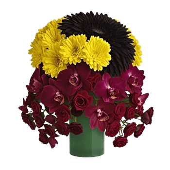 Radiant Bloom Cascade