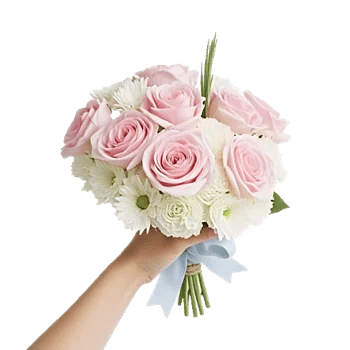 Pastel Pink Roses