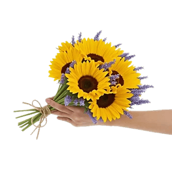 Twinkling Sunflower Dance