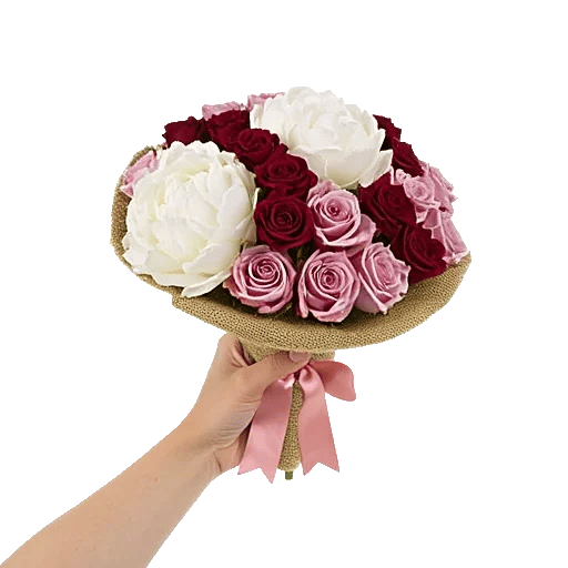 Peony Petal Harmony