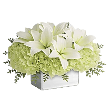 Graceful Lily Display