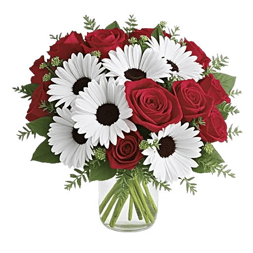 Tulip Rose Mix