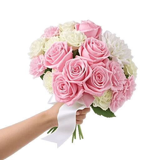 Pastel Pink Roses