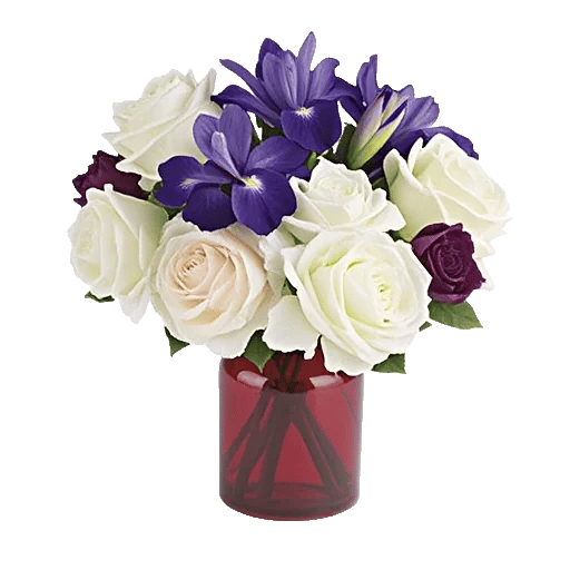 Ivory Blossom Radiance