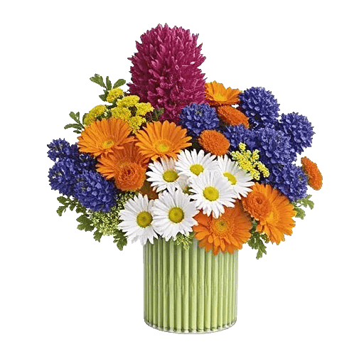 Petal Radiance Bliss