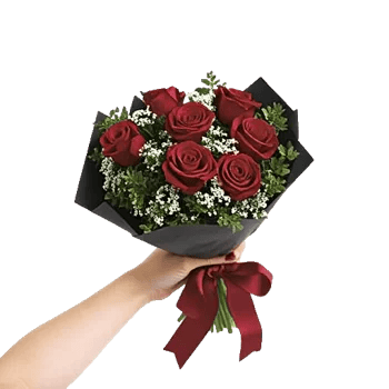 Crimson Rose Elegance