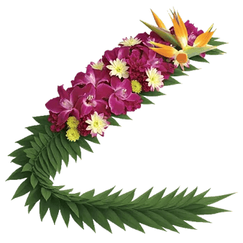 Orchid Bloom Cascade