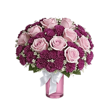 Pink Pastel Roses