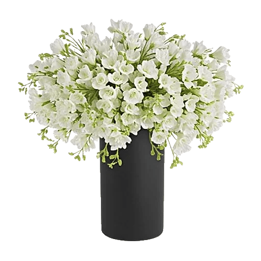 Ivory Blossom Radiance