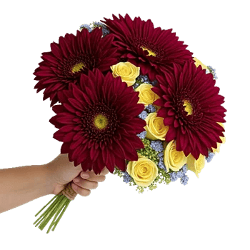 Crimson Blossom Harmony