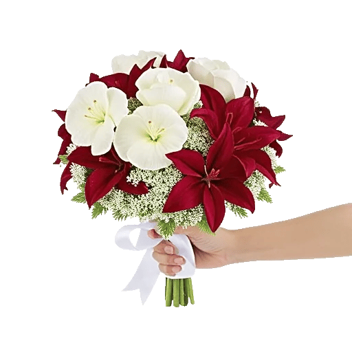 Ivory Blossom Radiance