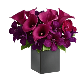 Elegant Calla Lilies