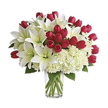 Graceful Lily Display