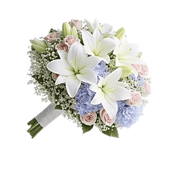 Blooming Serenity Display