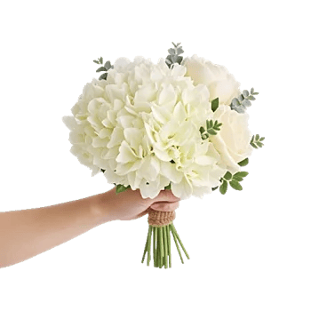 Ivory Blossom Radiance