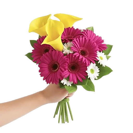 Elegant Calla Lilies