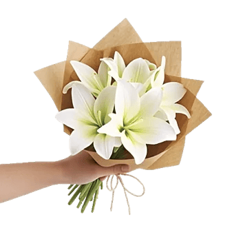 Graceful Lily Display