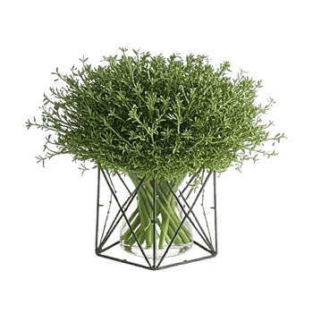 Rosemary Bloom Elegance