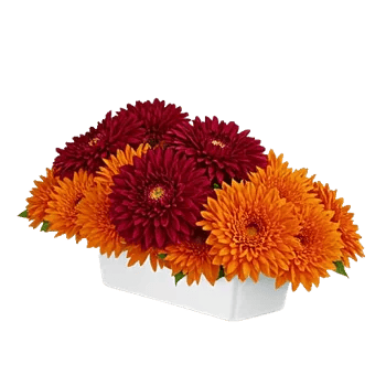 Radiant Bloom Cascade